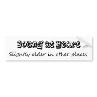 Funny gift ideas bumpersticker bulk discount fun bumpersticker