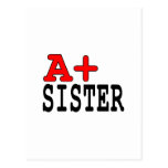 Funny Gifts for Sisters : A+ Sister Postcard