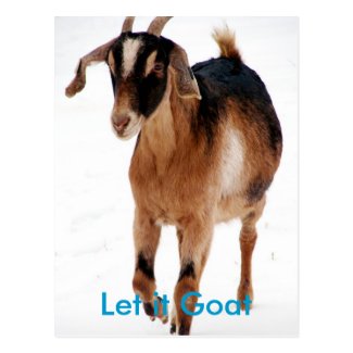 Funny Goat Parody Post Card