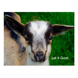 Funny Goat Parody Post Card