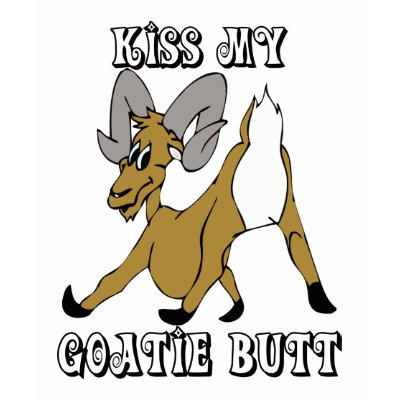 funny goat photo