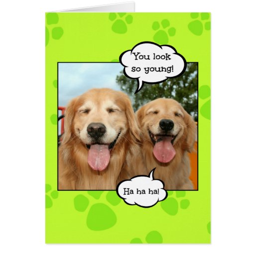 golden retriever birthday pictures happy birthday golden retriever pictures breeds picture golden retriever birthday pictures happy birthday golden retriever pictures breeds picture