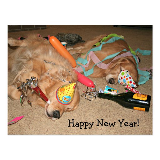 Funny Golden Retriever Happy New Year Celebration Postcard Zazzle