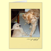 Funny Golden Retriever "New Puppy" Card cards