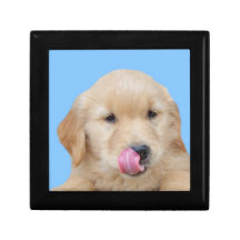 Funny Golden Retriever Puppy Gift Box