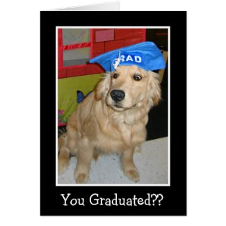 Funny Golden Retriever You Graduated Graduation