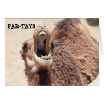 Funny Graduation Card, Party Camel