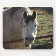 Funny Gray Mare Mousepads