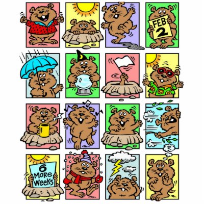 funny groundhog pics