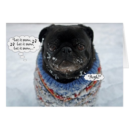 Funny Grumpy Pug Christmas Card