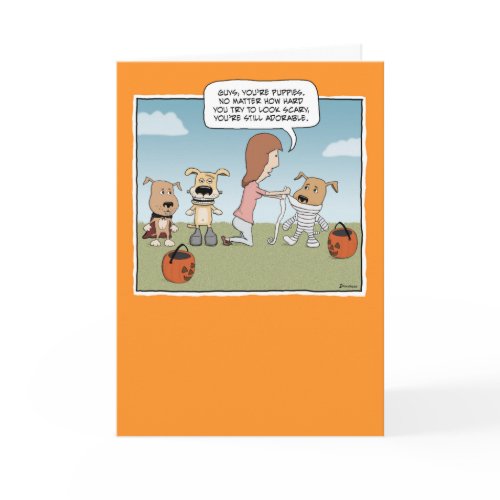 funny puppies. Funny Images Of Puppies. funny puppies.