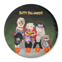 Funny Halloween Dogs & Cats magnets