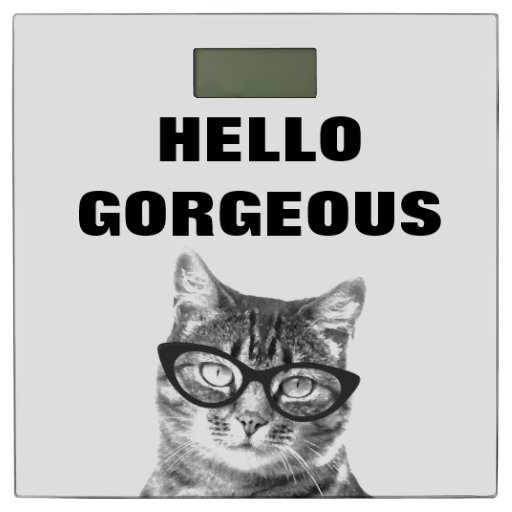 Funny Hello bathroom scale with cute cat Zazzle