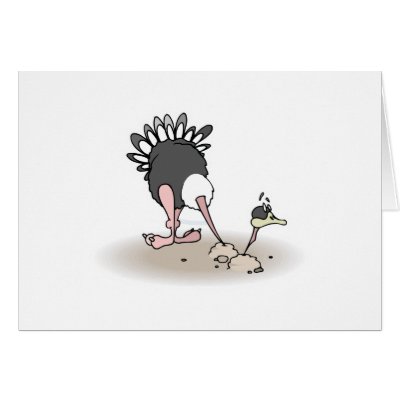 goofy ostrich