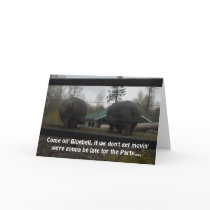 Funny Hippopotamus Birthday Greeting Greeting Card