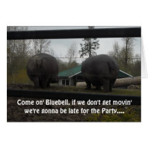 Funny Hippopotamus Birthday Greeting Greeting Card