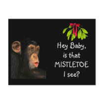 Funny Holiday Greeting Card postcards