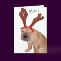 Funny Holiday Greetings from the Dog cards