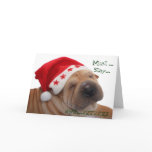 Funny Holiday Greetings from the Dog Greeting Card