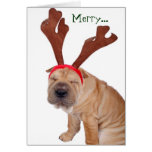 Funny Holiday Greetings from the Dog Greeting Cards