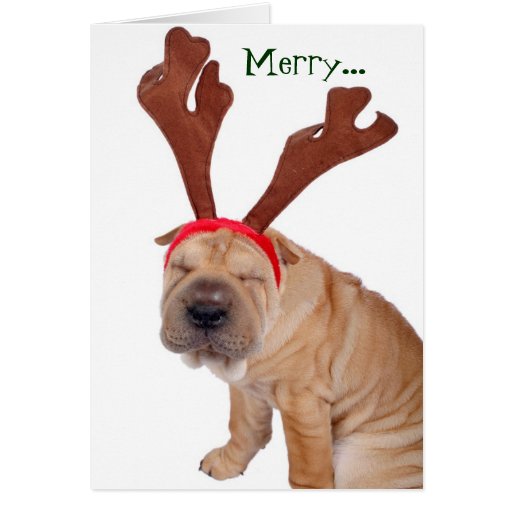 Funny Holiday Greetings from the Dog Greeting Cards