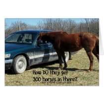 Funny Horse "300 Horse" Cards