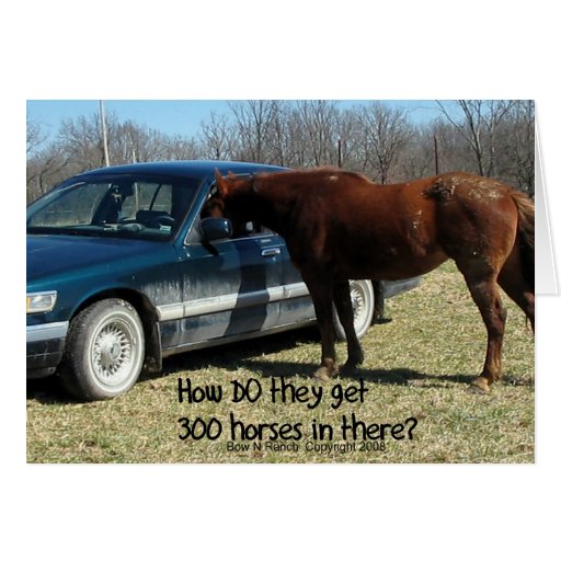 Funny Horse "300 Horse" Cards
