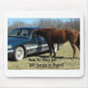 Funny Horse "300 Horse" mousepads by BowNRanch Funny Horse "300 Horse" mousepads