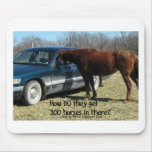 Funny Horse "300 Horse"