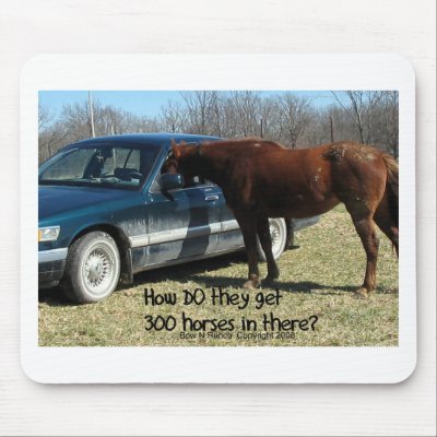 funny horse pictures. Funny Horse amp;quot;300