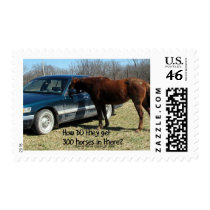 Funny Horse "300 Horse" Stamp