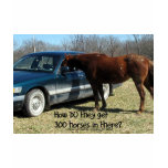Funny Horse "300 Horse" T-shirt