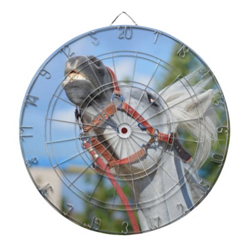 Funny Horse Dart Board Zazzle