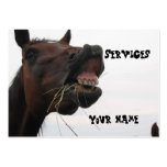 Funny Horse Hay Business Card business cards