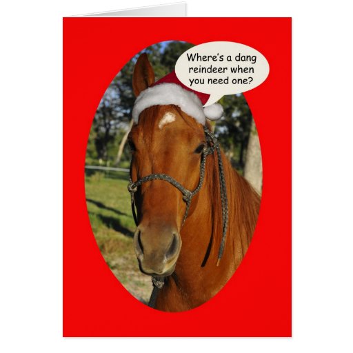 Funny horse in a Santa Hat Christmas Greeting Card