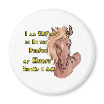 Funny Horse Fridge Magnets