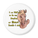 Funny Horse magnets