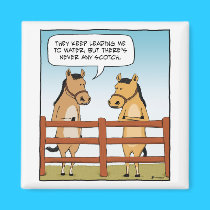 Funny horse magnet magnets