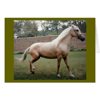 Funny Horse Marry Me card