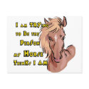 Funny Horse postcards by WesternRodeo Funny Horse postcards