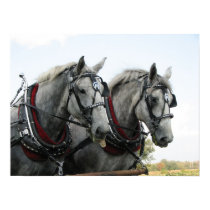 Funny Horse posters by krams1120 Funny Horse posters