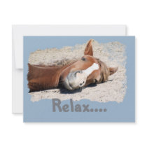 Funny Horse: Relax Announcements