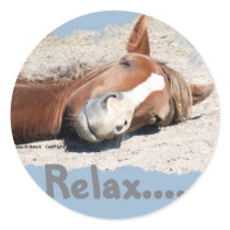 Funny Horse: Relax Round Stickers