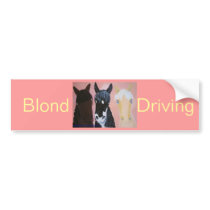 Funny horses cards Customize Bumper Stickers