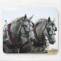 Funny Horses mousepads