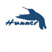 Funny Hummer Hummingbird
