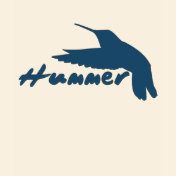 Funny Hummer Hummingbird