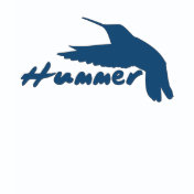 Funny Hummer Hummingbird
