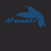 Funny Hummer Hummingbird