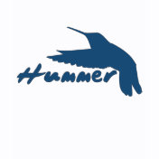 Funny Hummer Hummingbird